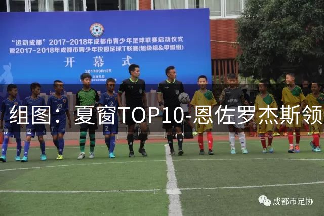组图：夏窗TOP10-恩佐罗杰斯领衔 城车刺大血购